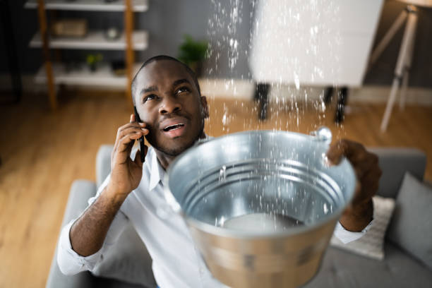 Best 24-hour water damage restoration  in Lewiston, ID