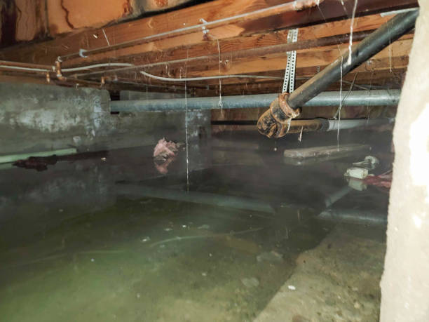 Best Ceiling water damage repair  in Lewiston, ID