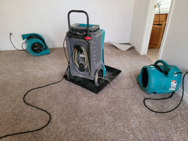 Best Carpet water damage restoration  in Lewiston, ID