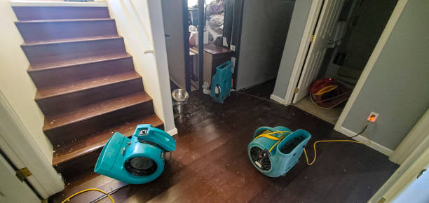 Best Water damage cleanup near me  in Lewiston, ID