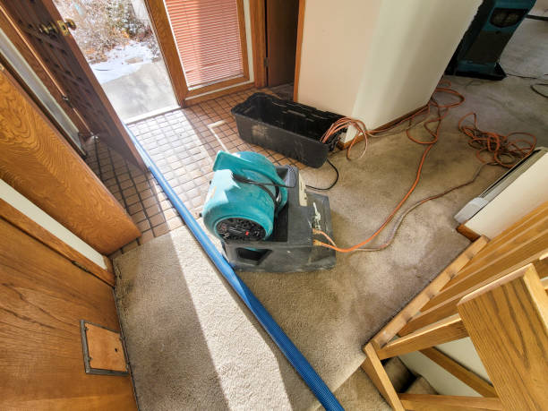 Local water damage restoration in Lewiston, ID