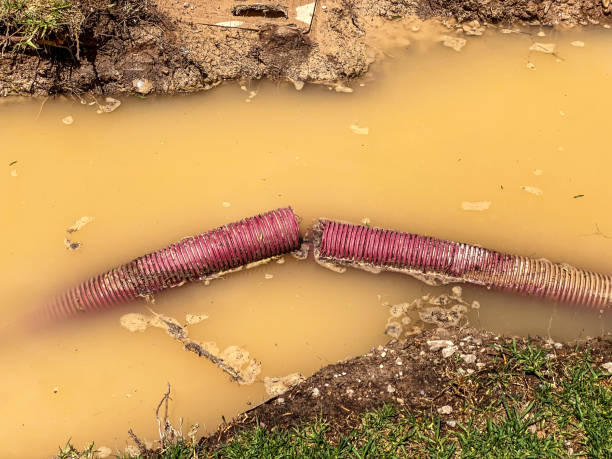 Water damage restoration mold remediation in Lewiston, ID